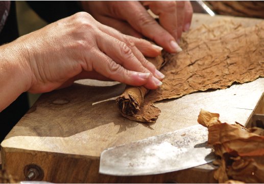 Crafting the Perfect Cannabis Cigar: A Comprehensive Guide to Cannagars