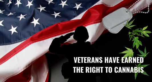 In 2025, Veterans Have Earned the Right to Try Cannabis