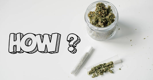 What is Pancakes Weed Strain, and How to Roll it?