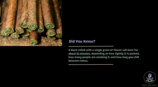 What Size Should a Blunt Be?