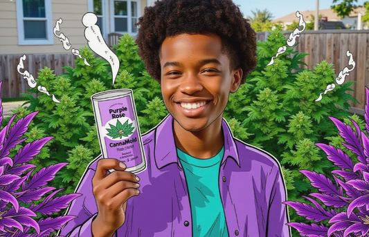 young cannabis grower in a vibrant backyard garden, proudly holding a Purple Rose Supply CannaMold with lush high-THC cannabis plants in the background
