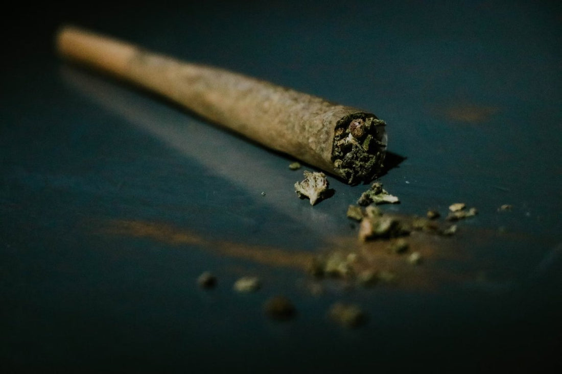 Prerolled joint resting on a rolling tray with small bits of ground up weed spilling out of the tip of the preroll.