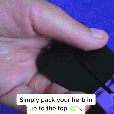 2-4g PERSONAL - CANNAMOLD KIT