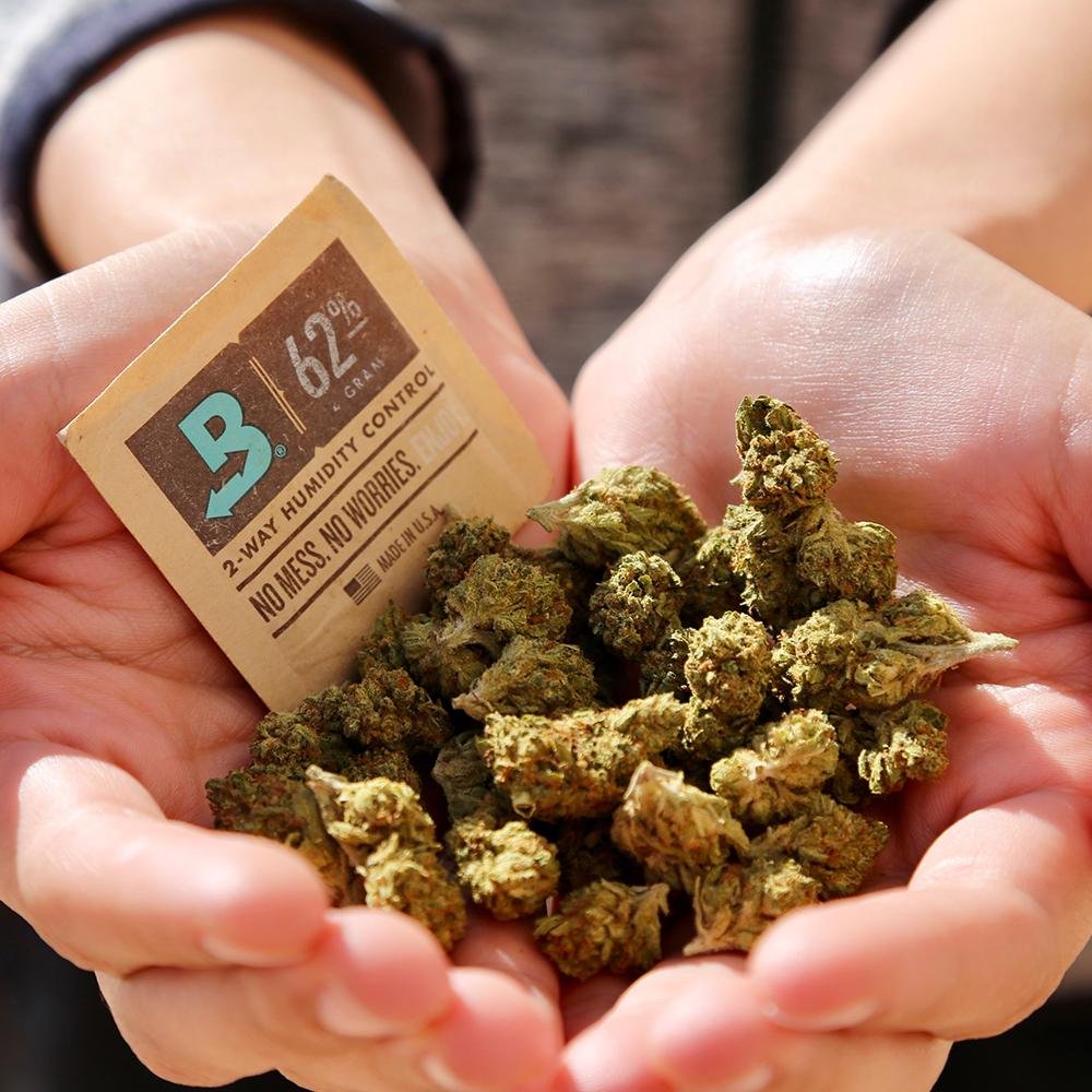 Boveda - Two way humidity control packs Purple Rose Supply blunt roller, cannagar mold, joint roller, blunt wrap, joint vs blunt, blunt vs joint, preroll, pre-roll, hemp wrap, hemp blunt