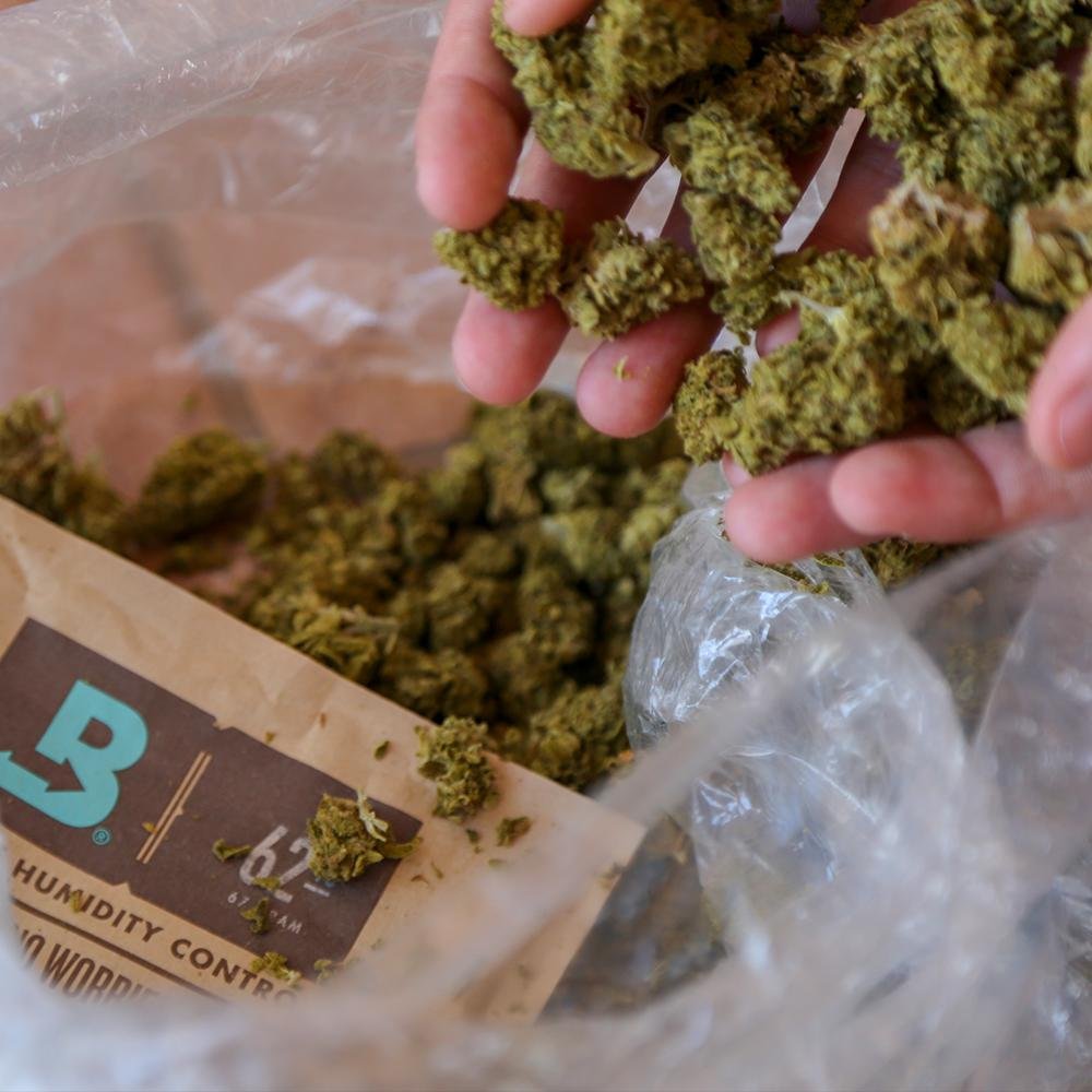 Boveda - Two way humidity control packs Purple Rose Supply blunt roller, cannagar mold, joint roller, blunt wrap, joint vs blunt, blunt vs joint, preroll, pre-roll, hemp wrap, hemp blunt
