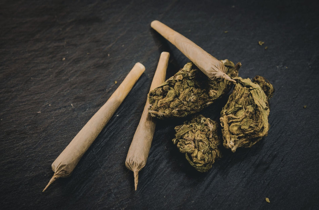 Questioning Your Blunt Roller? When a Cannagar Mold Makes More Sense