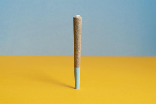 The Ultimate Guide to Prerolls and Cannagars: Pros, Cons, and Which One is Right for You