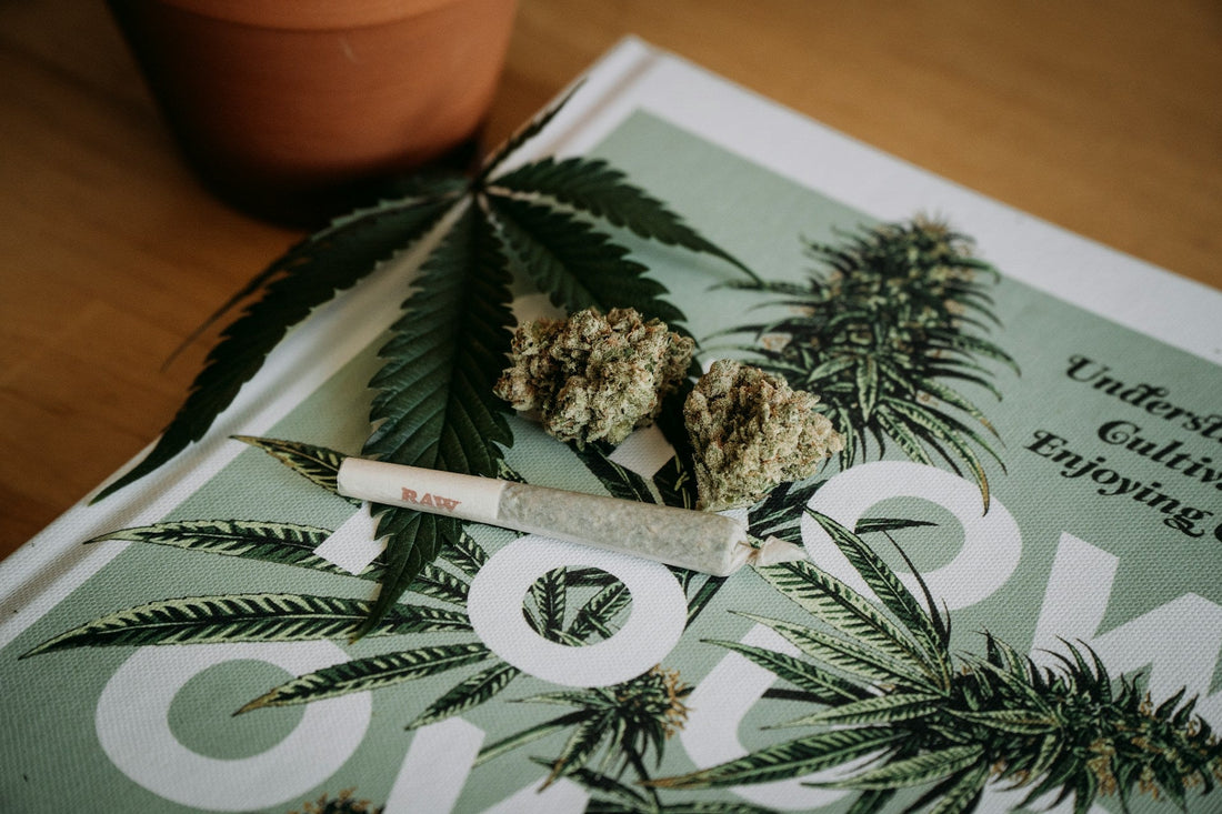 Fix Cannagar Tunneling and Tight Draw: Moisture and Curing Tips