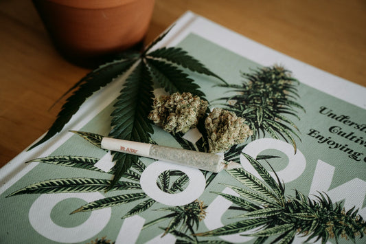 Fix Cannagar Tunneling and Tight Draw: Moisture and Curing Tips