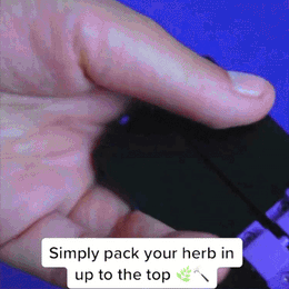2-4g PERSONAL - CANNAMOLD KIT