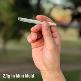 1-2g MINI MOLD – CANNAMOLD KIT