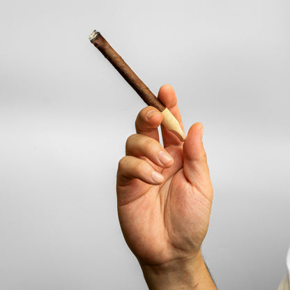 2-4g PERSONAL - CANNAMOLD KIT