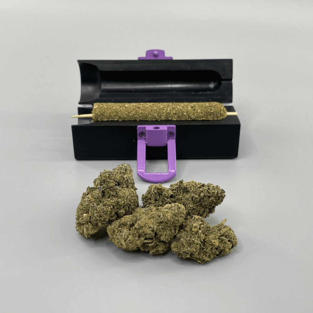 Small Cannagar press displayed with a 3.5-7g, small cannagar and four nugs of cannabis flower in the foreground. 