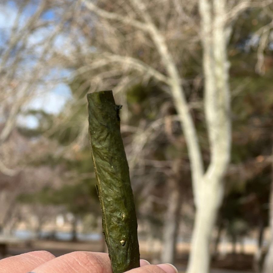 FRESH - 2 PACK - Native Leaf Co. Ready Line Purple Rose Supply blunt roller, cannagar mold, joint roller, blunt wrap, joint vs blunt, blunt vs joint, preroll, pre-roll, hemp wrap, hemp blunt